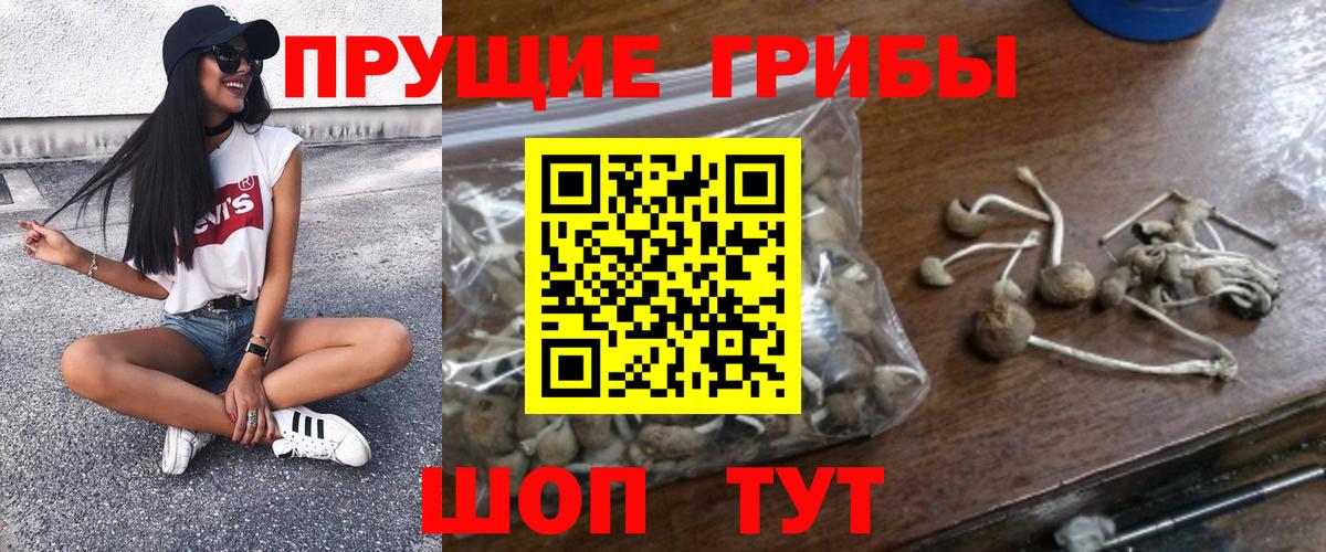 Уссурийск  Галлюциногенные грибы мухоморы  Галлюциногенные грибы ЛСД  где купить   Вход с VPN 